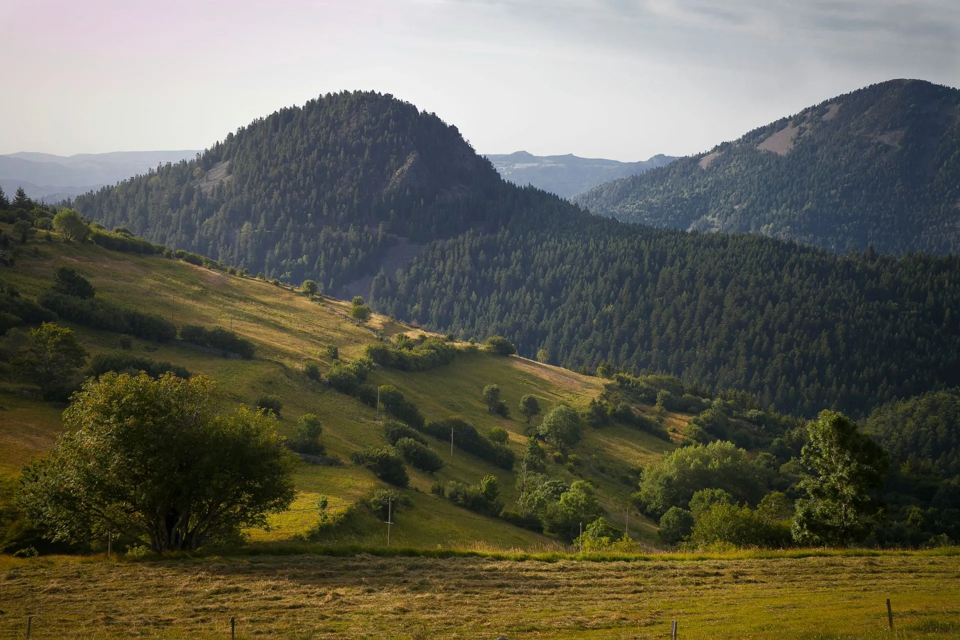 Création de site internet dans le Forez et la Loire